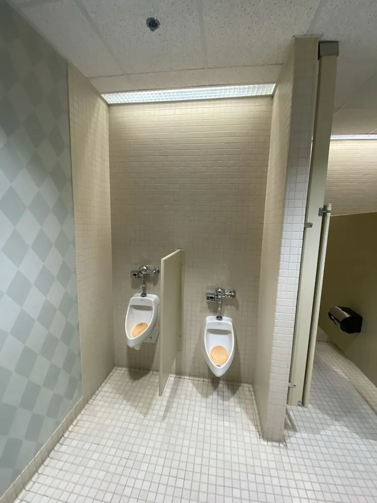 Top-rated plumbing repair service in Houston, TX - Triumph Plumbing Services