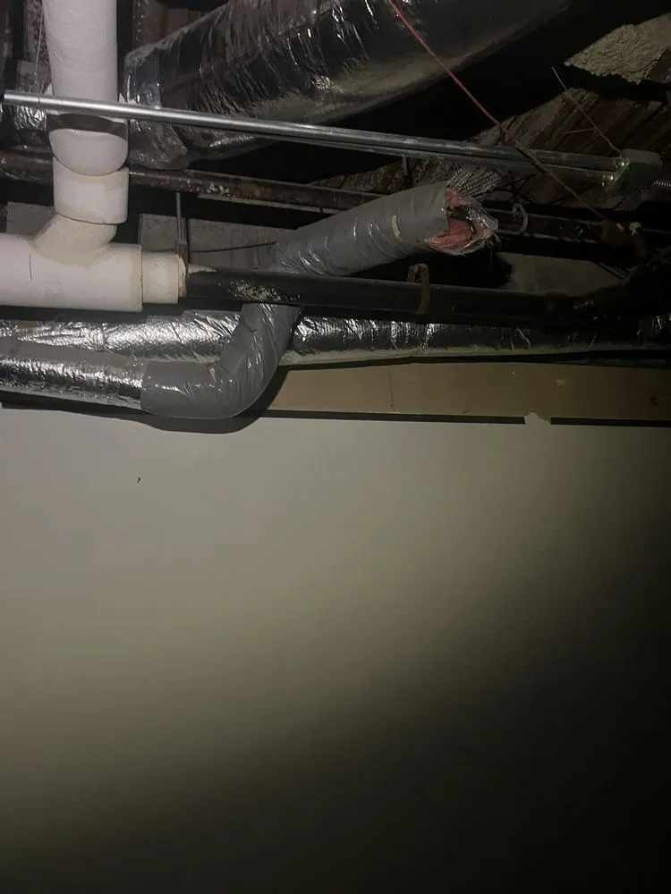 Top-rated water heater service for homes in Houston, TX by Triumph Plumbing Services