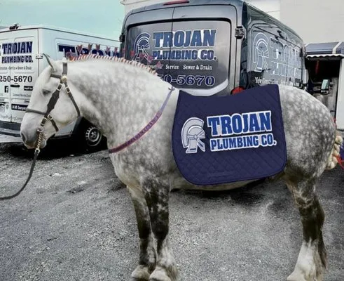 Trojan Plumbing Company