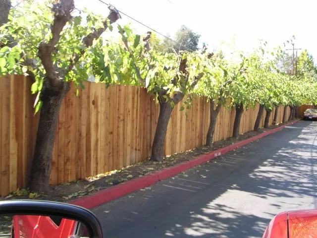 Professional leak detection experts serving Cameron Park, CA - Tromler Construction