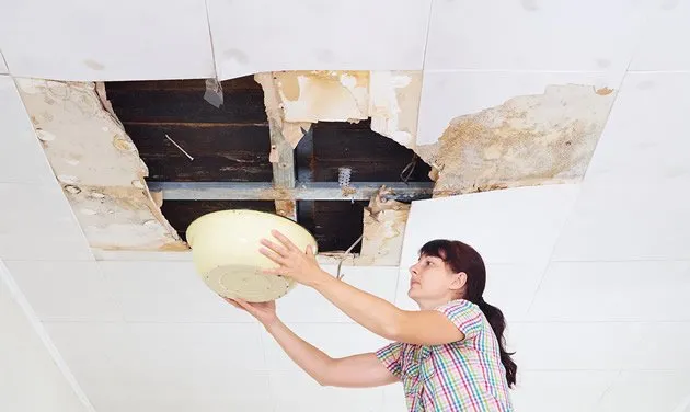 Slide of True American Services