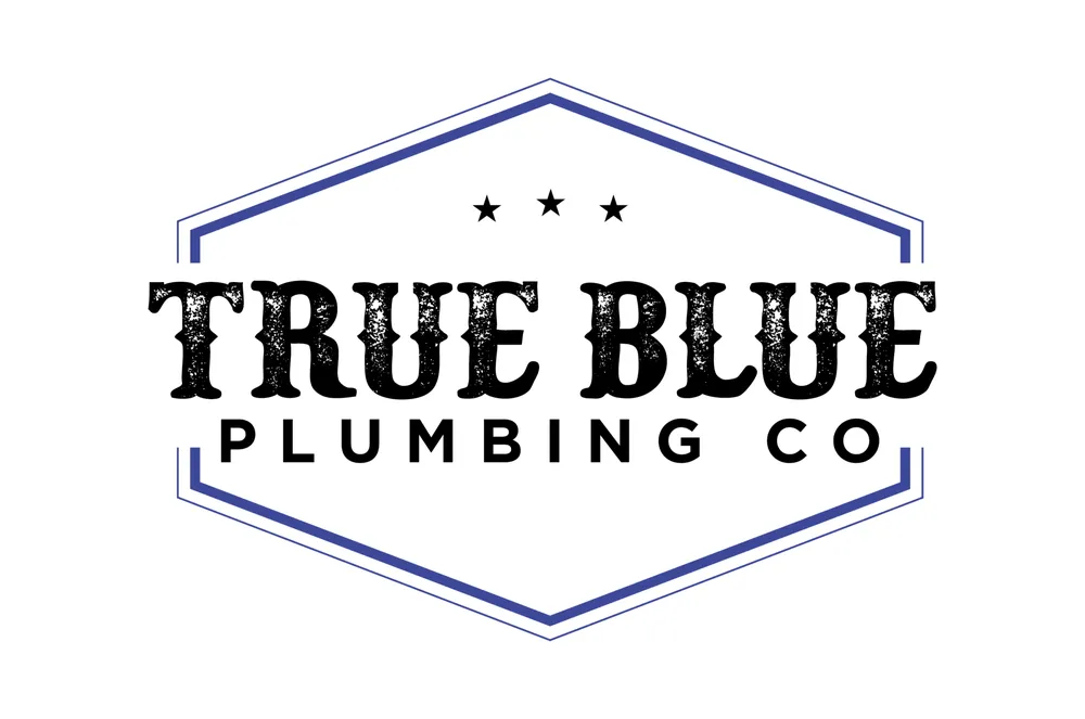 Slide of True Blue Plumbing Co