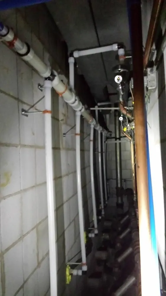 Affordable emergency plumbing experts serving Ham Lake, MN - True Blue Plumbing