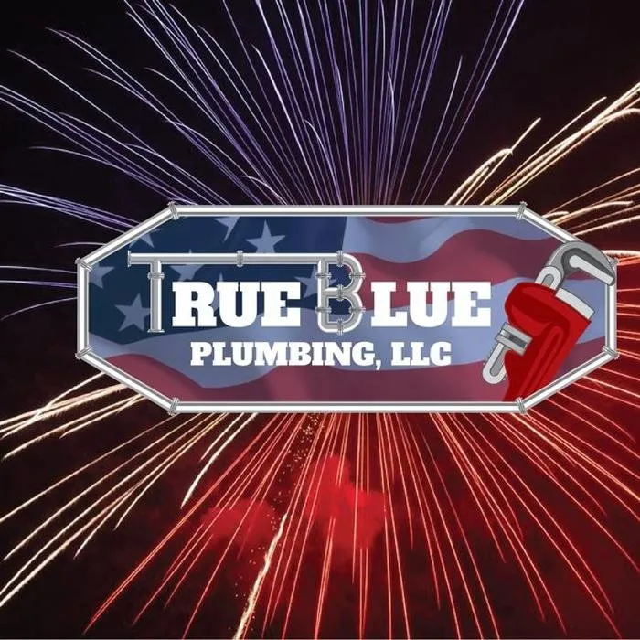 Slide of True Blue Plumbing