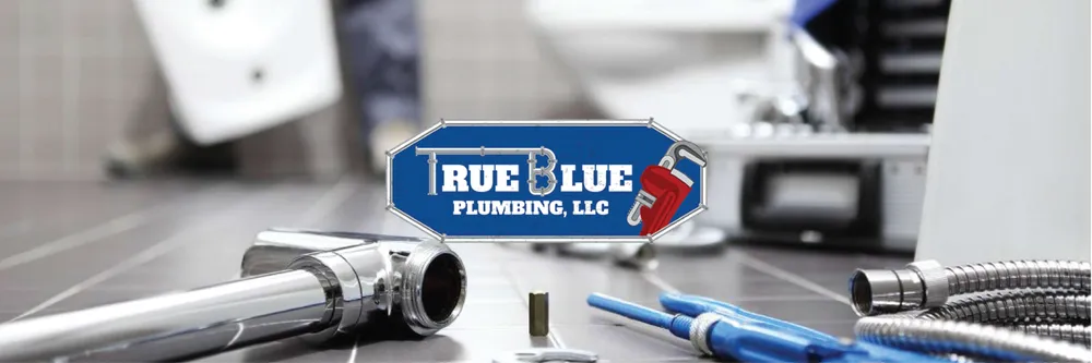 Slide of True Blue Plumbing