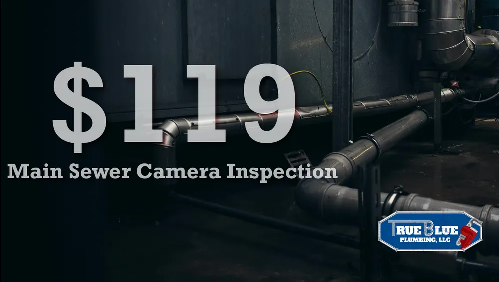 Slide of True Blue Plumbing