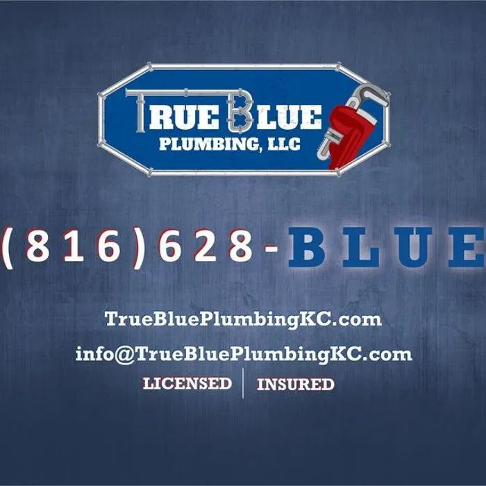 Slide of True Blue Plumbing