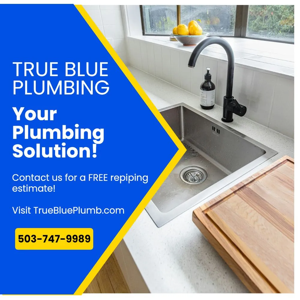 Slide of True Blue Plumbing