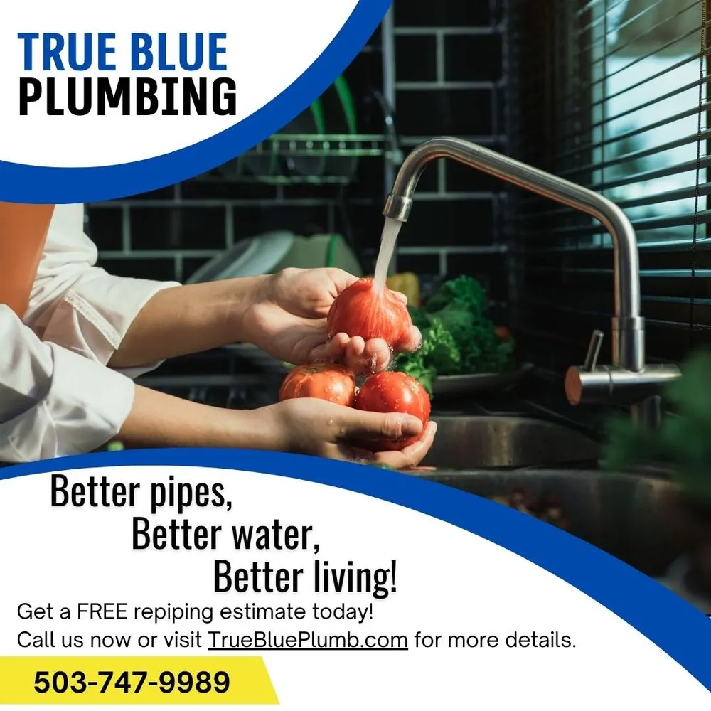 Slide of True Blue Plumbing