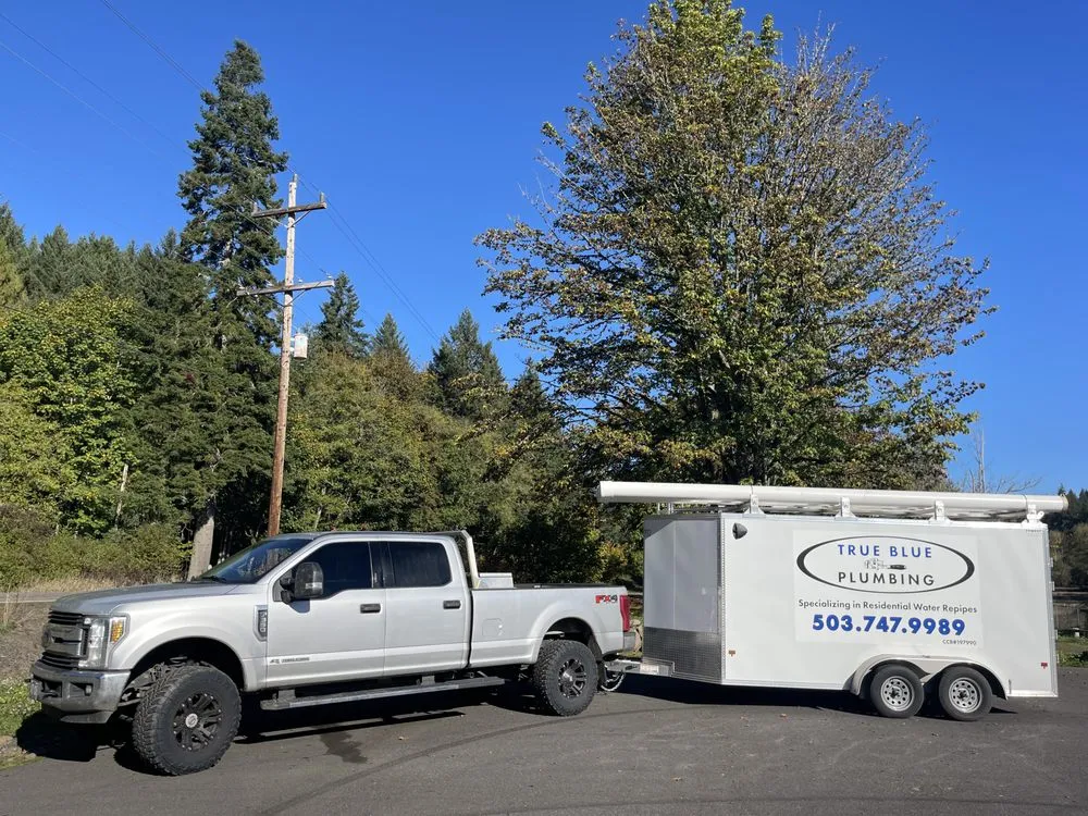 Slide of True Blue Plumbing