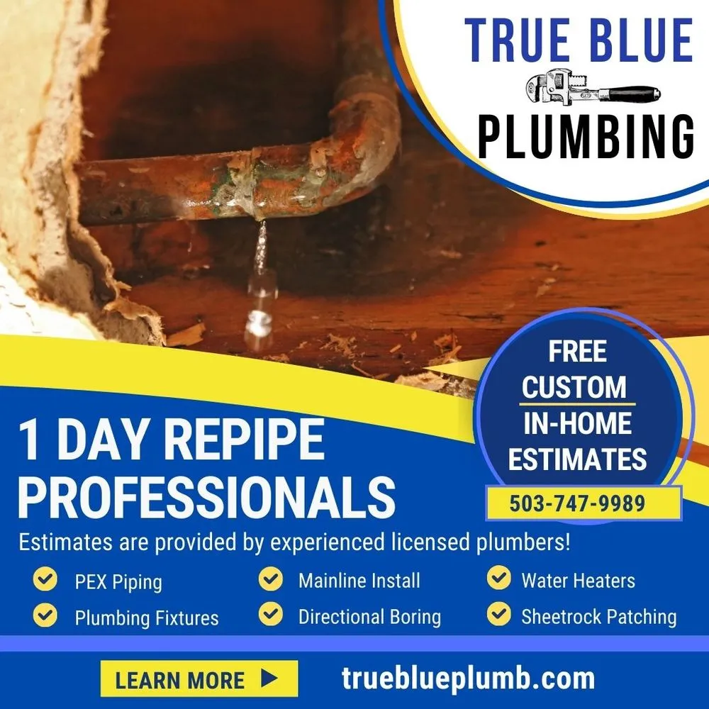 Slide of True Blue Plumbing