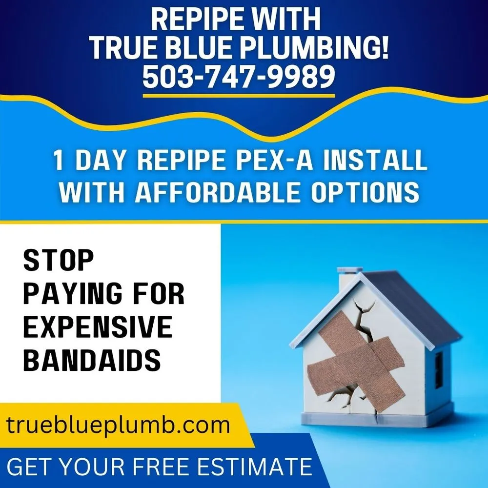 Slide of True Blue Plumbing