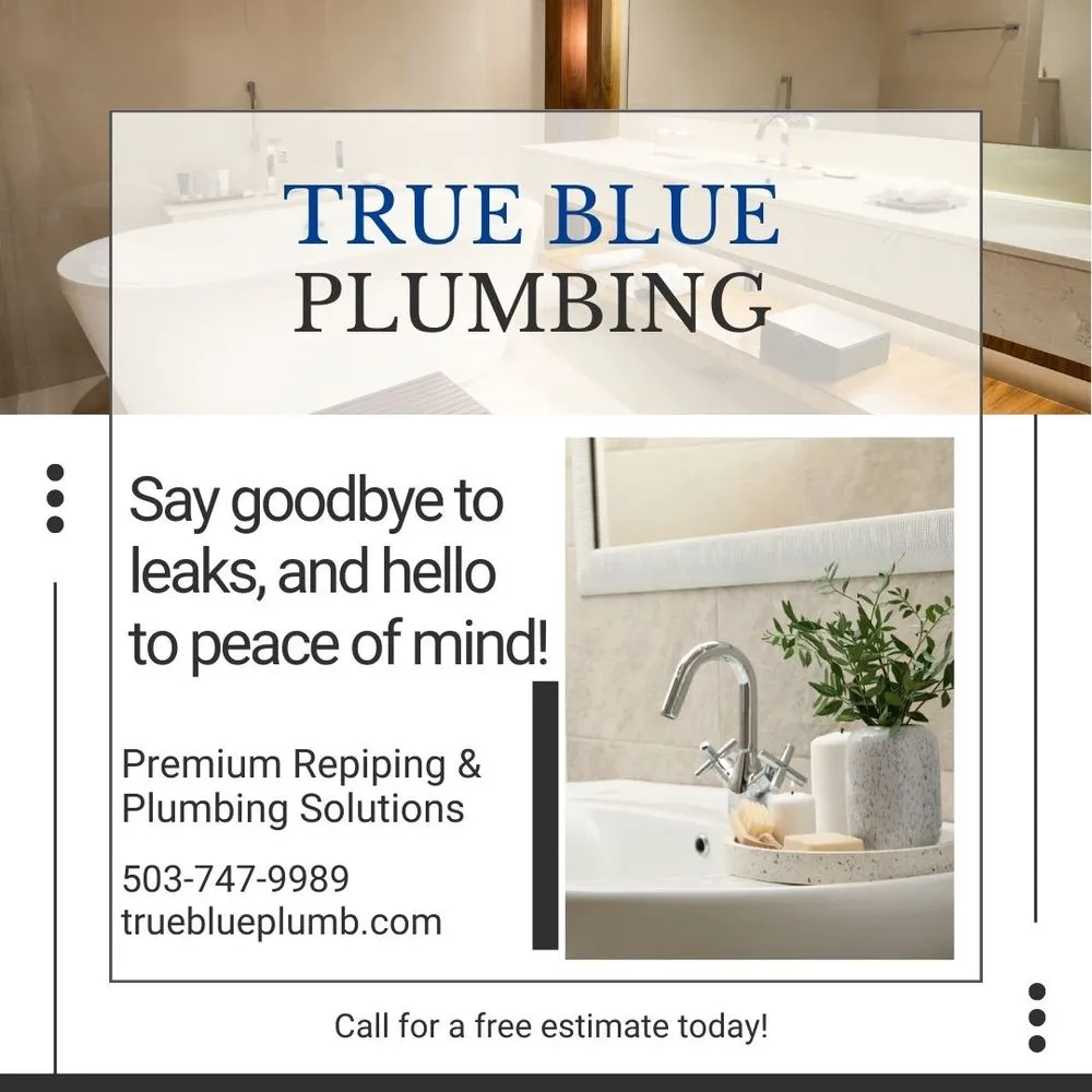 Slide of True Blue Plumbing