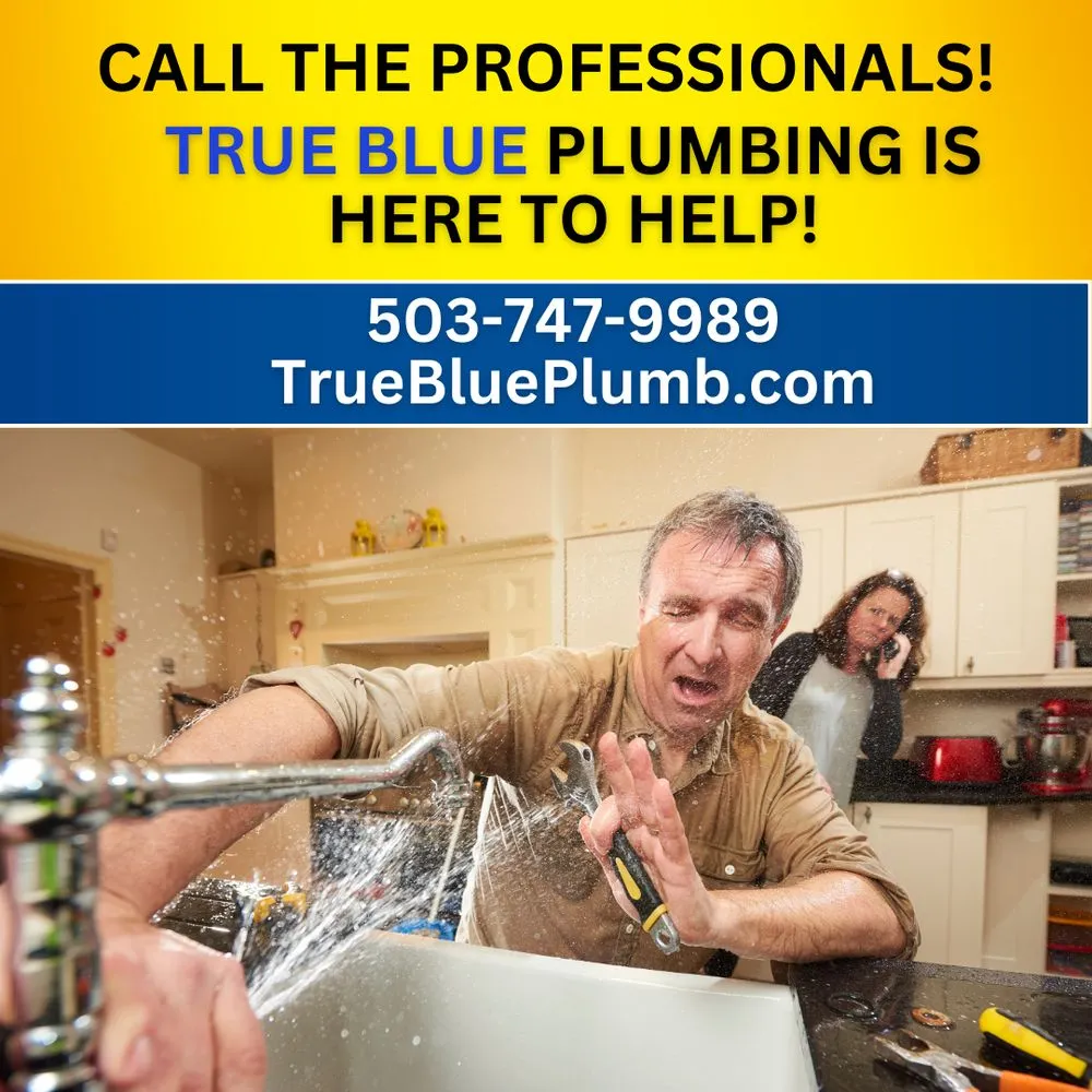 Slide of True Blue Plumbing