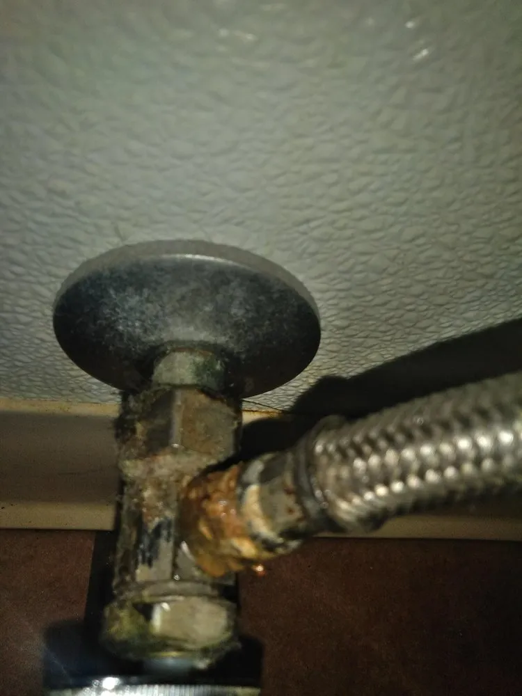 Slide of True Blue Plumbing