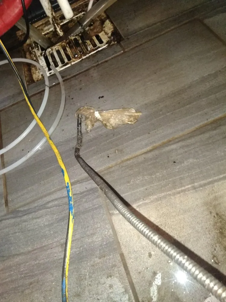 Slide of True Blue Plumbing