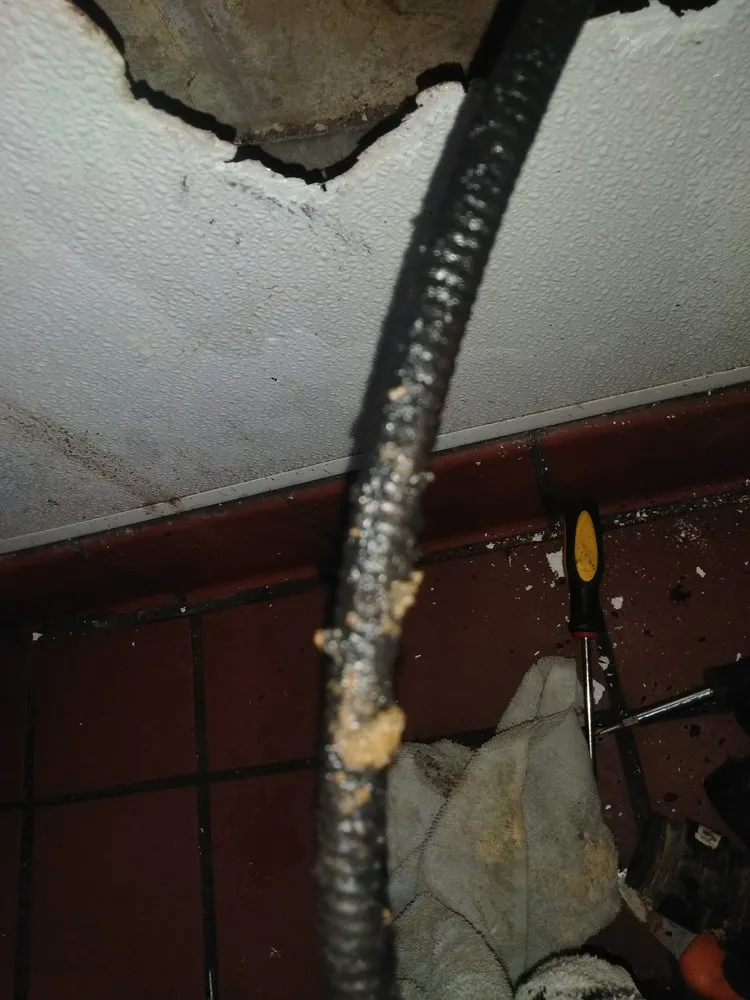 Slide of True Blue Plumbing