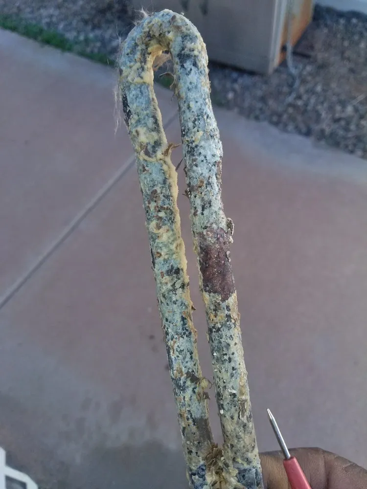 Slide of True Blue Plumbing