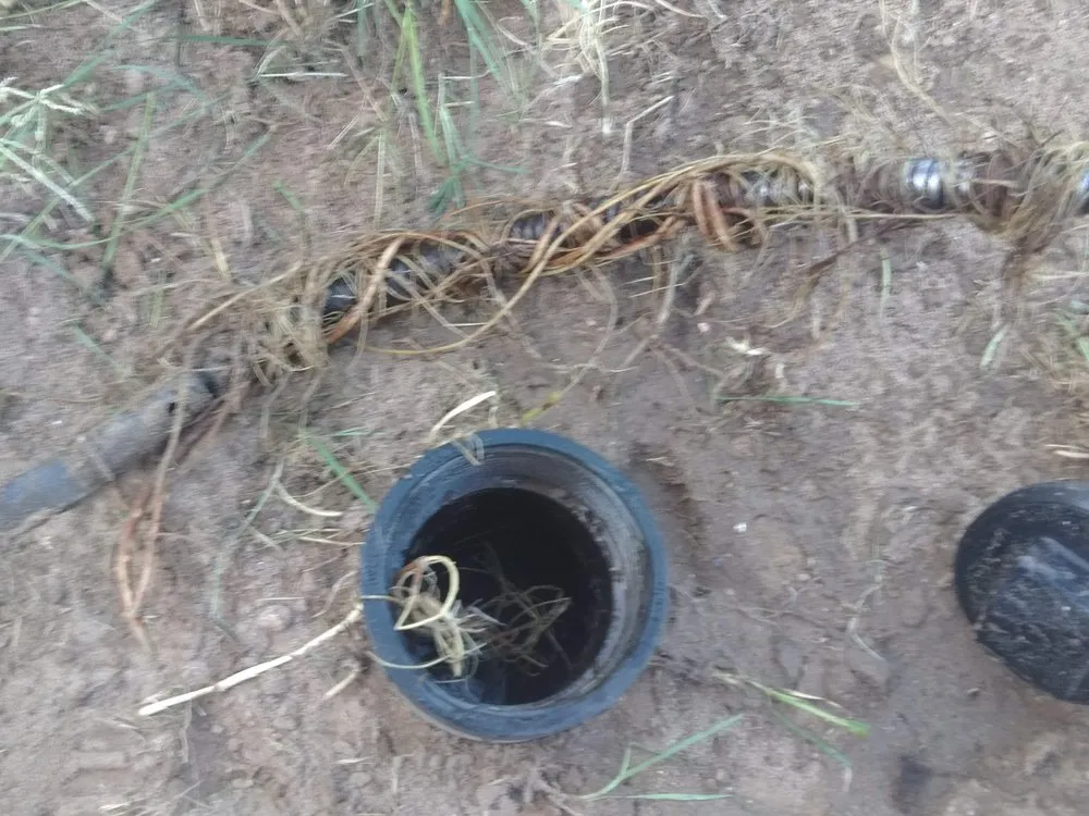 Slide of True Blue Plumbing