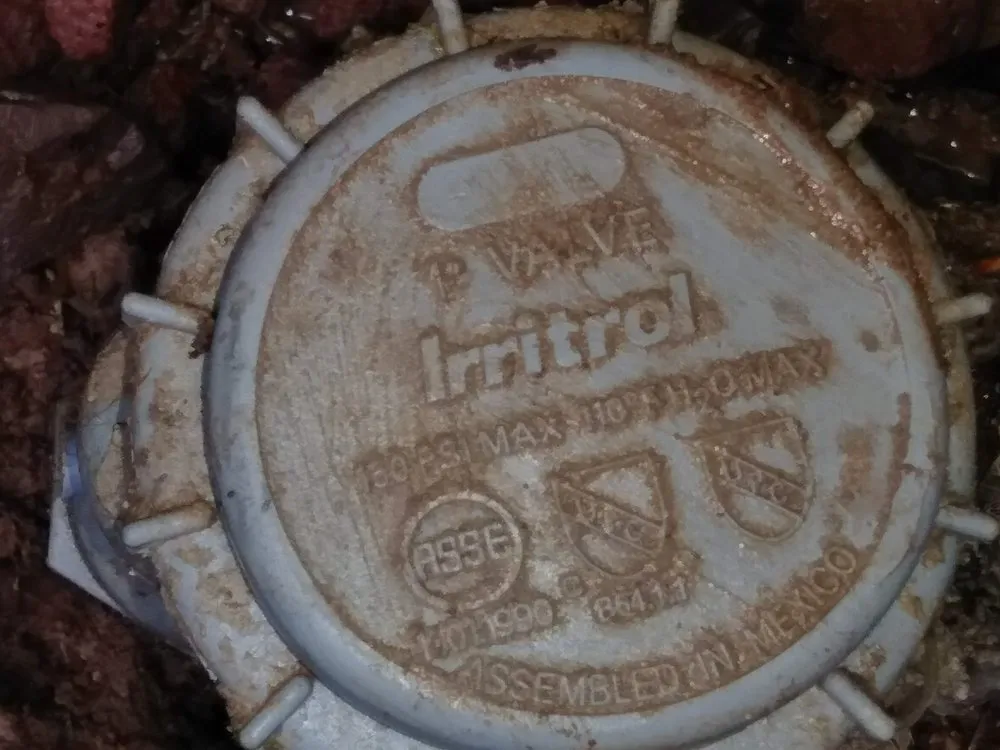 Slide of True Blue Plumbing