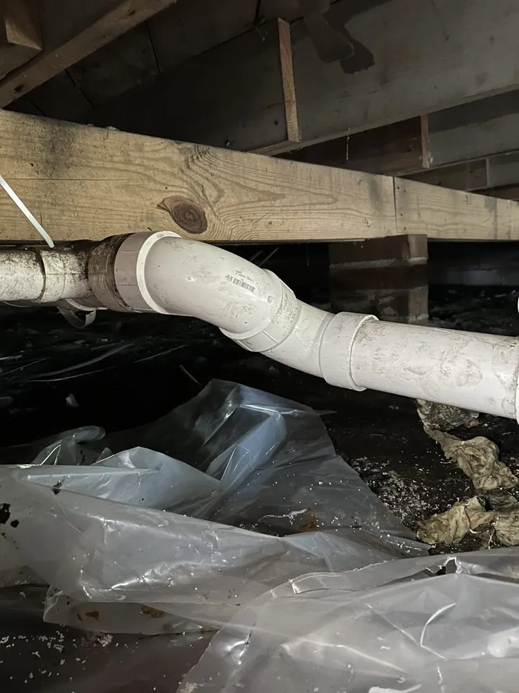 Slide of True Craft Culture