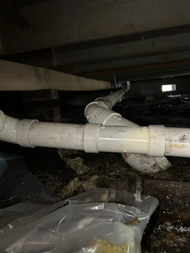 Slide of True Craft Culture