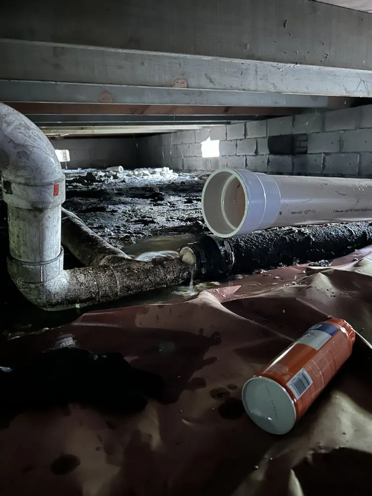 Slide of True Craft Culture