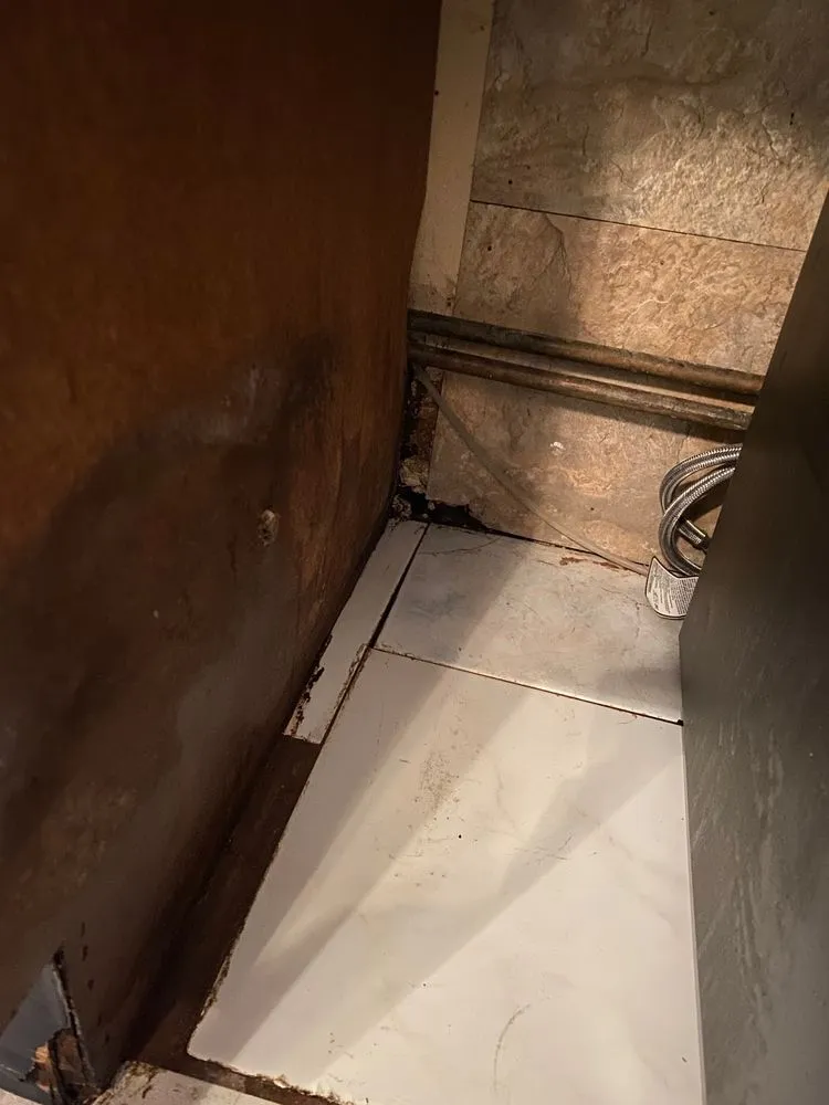 Slide of True Drain & Rooter