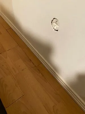 True Drain & Rooter Logo