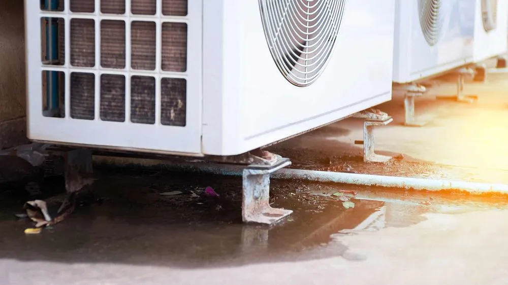 Top-rated drain cleaning in Plant City, FL by True Plumbers & AC