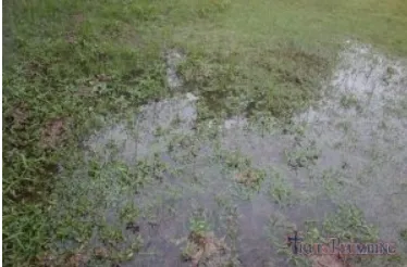 Slide of True Plumbing