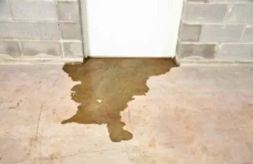 Slide of True Plumbing