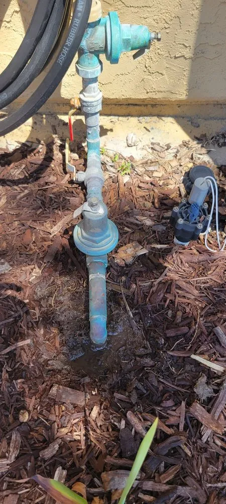 Slide of True Plumbing