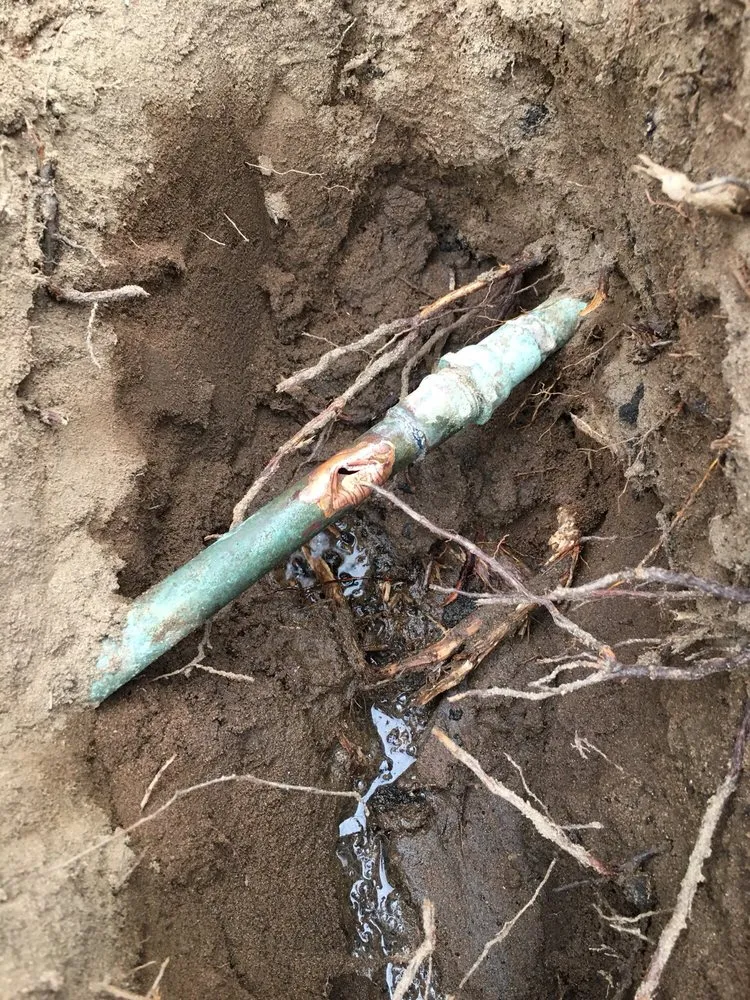 Slide of True Plumbing