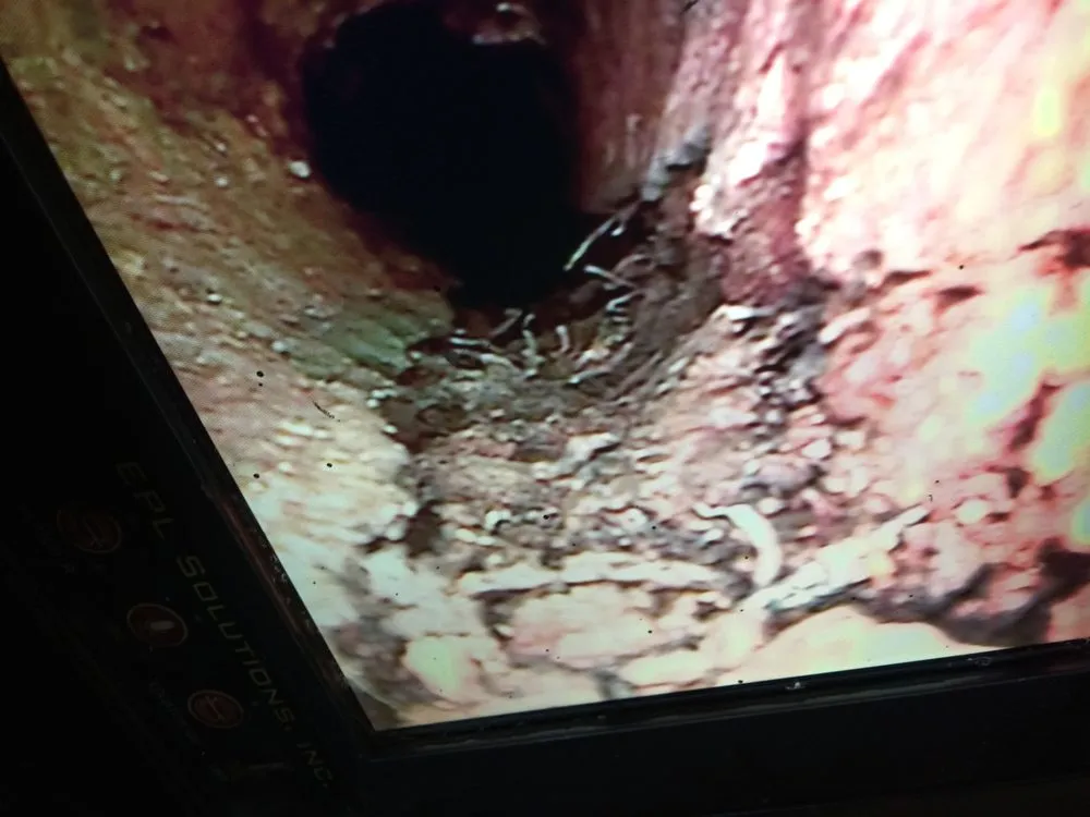 Slide of True Rooter Plumbing