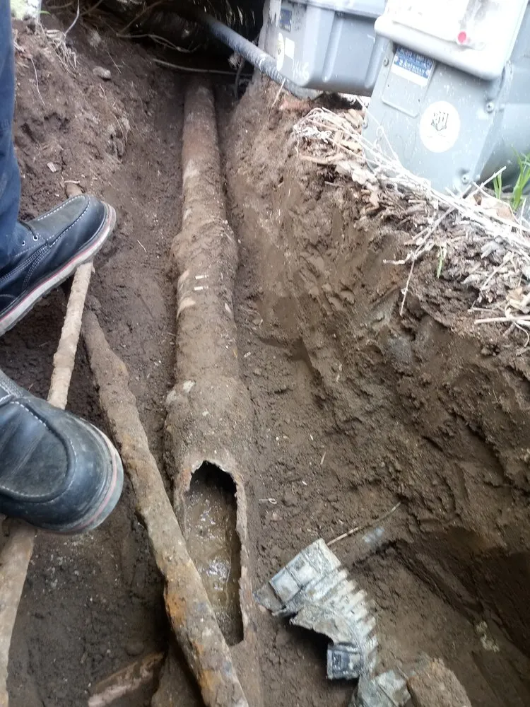 Slide of True Rooter Plumbing