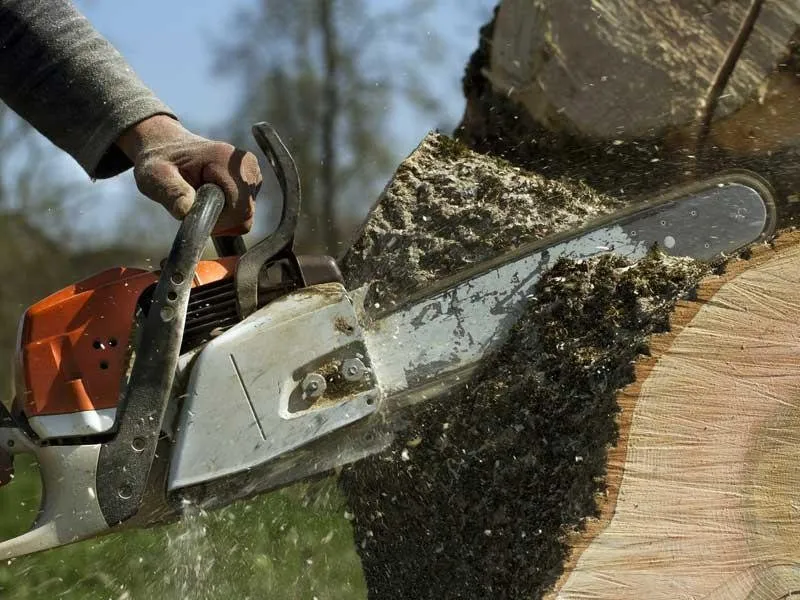 Professional pipe repair experts serving Braxton, MS - True South Tree Service & Outdoors
