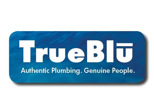 Slide of TrueBlu Plumbing