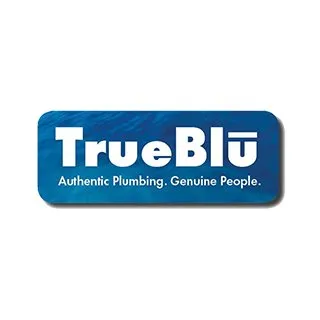 TrueBlu Plumbing
