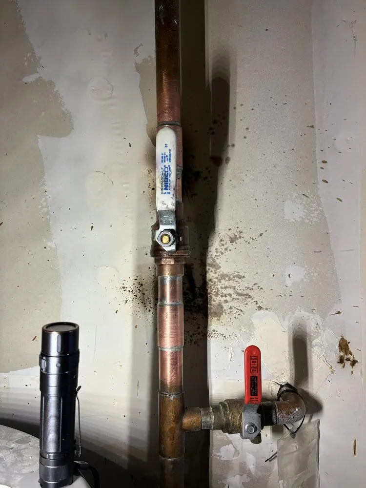 Slide of Trueline Plumbing