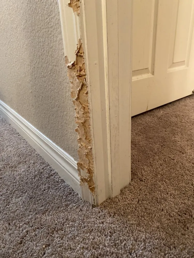 Slide of Trusted Handyman LV