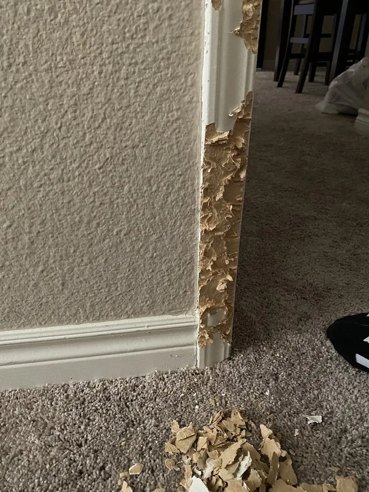 Slide of Trusted Handyman LV