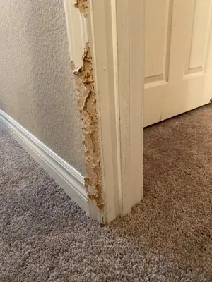 Trusted Handyman LV Logo