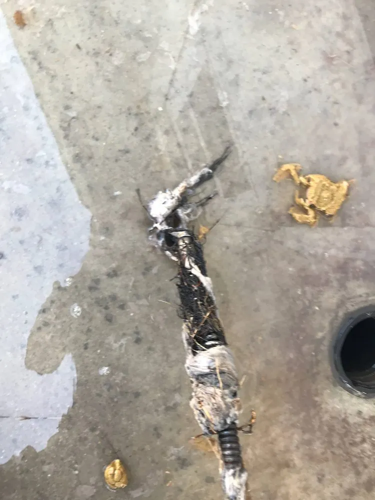 Slide of Trusty Plumbers