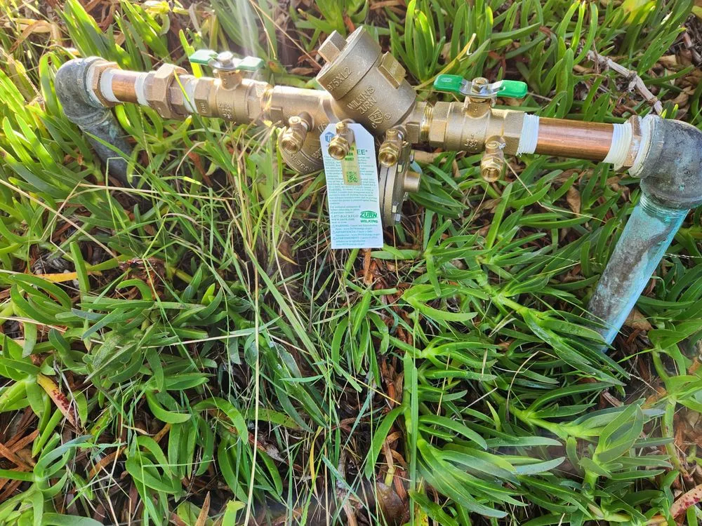 Slide of TS Backflow