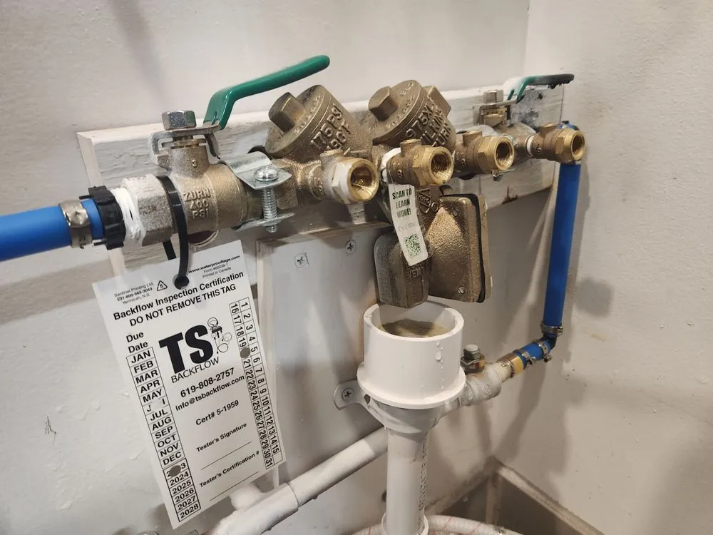 Slide of TS Backflow