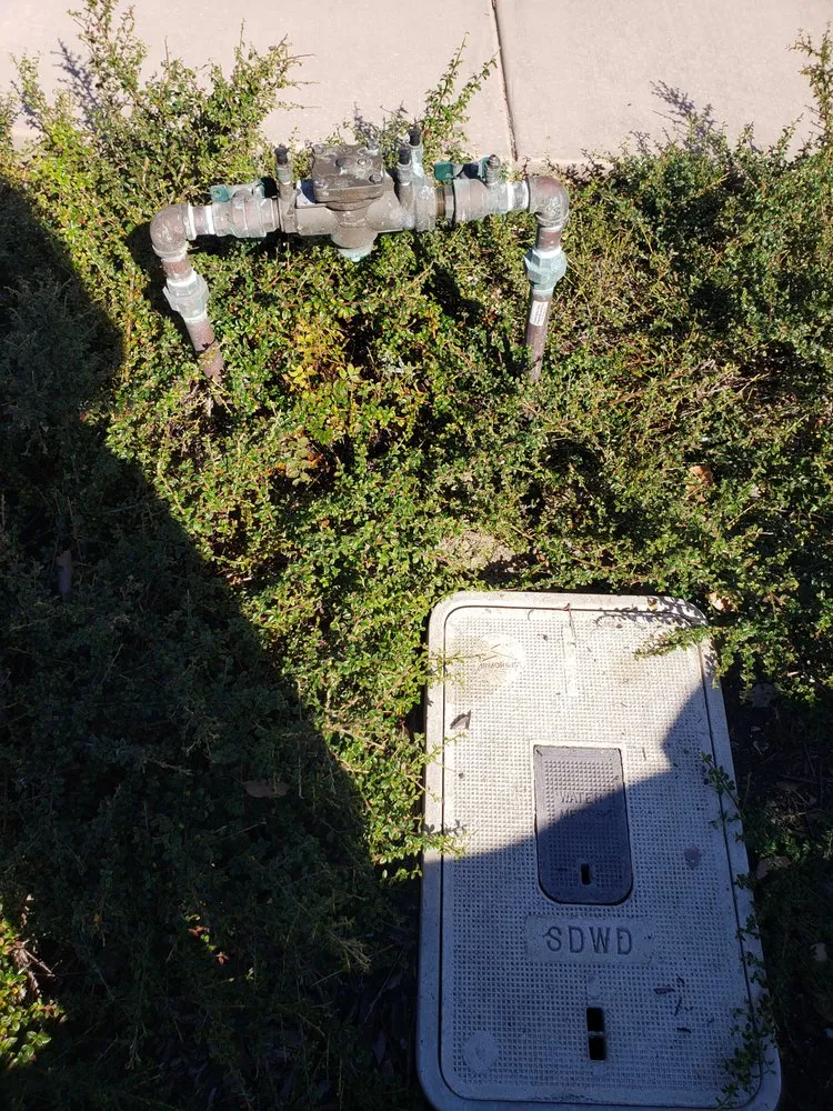 Slide of TS Backflow