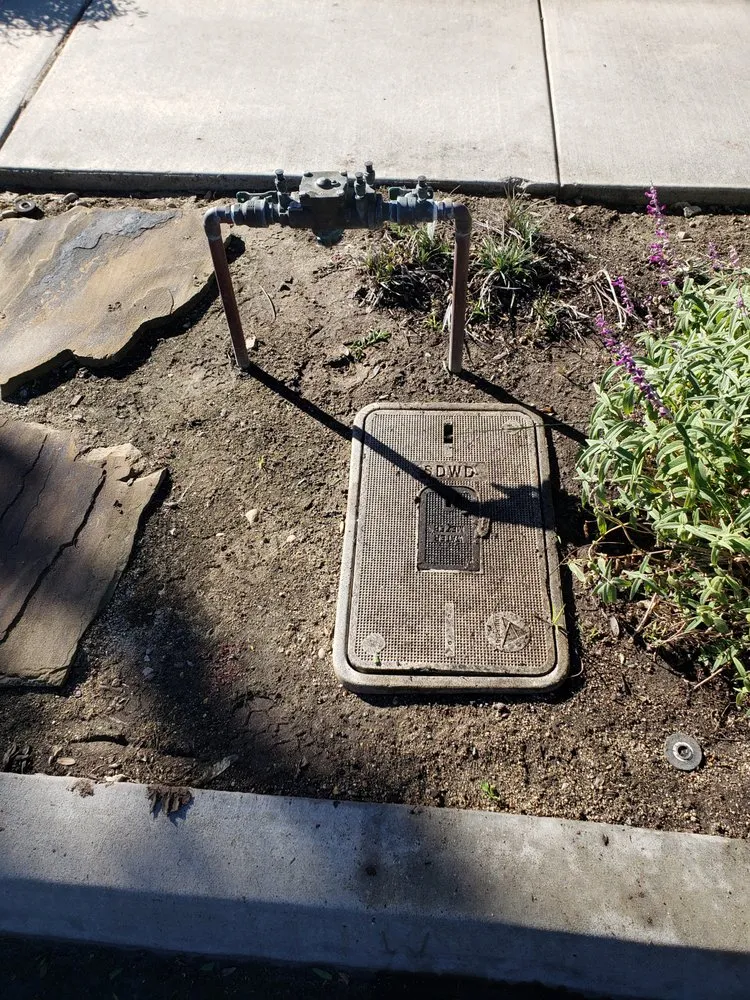 Slide of TS Backflow