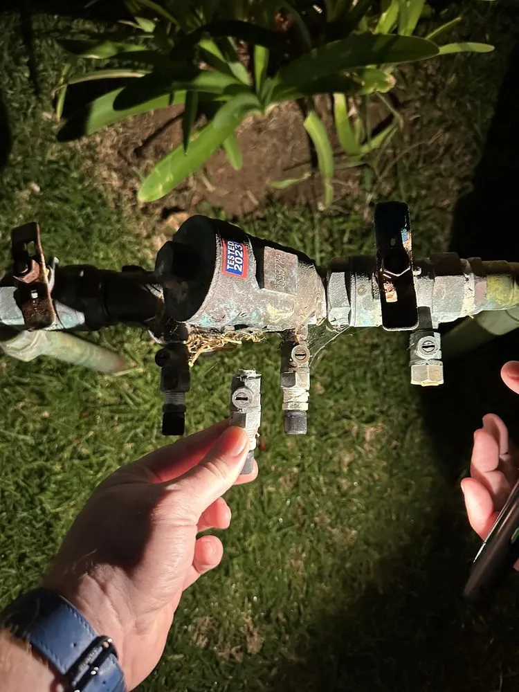 Slide of TS Backflow