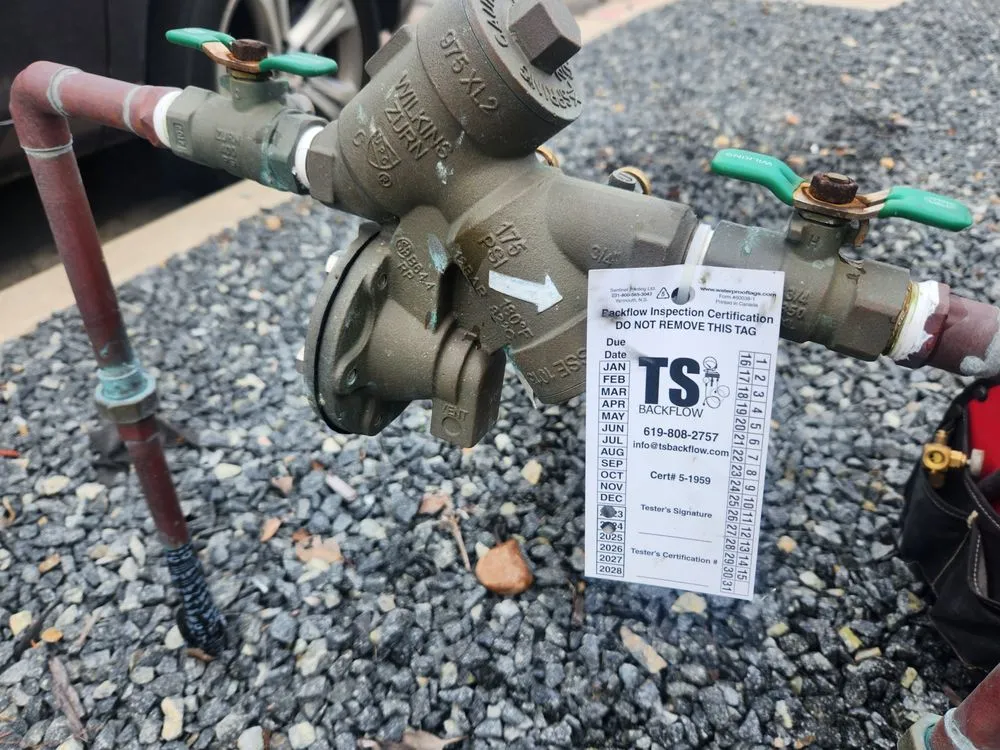 Slide of TS Backflow